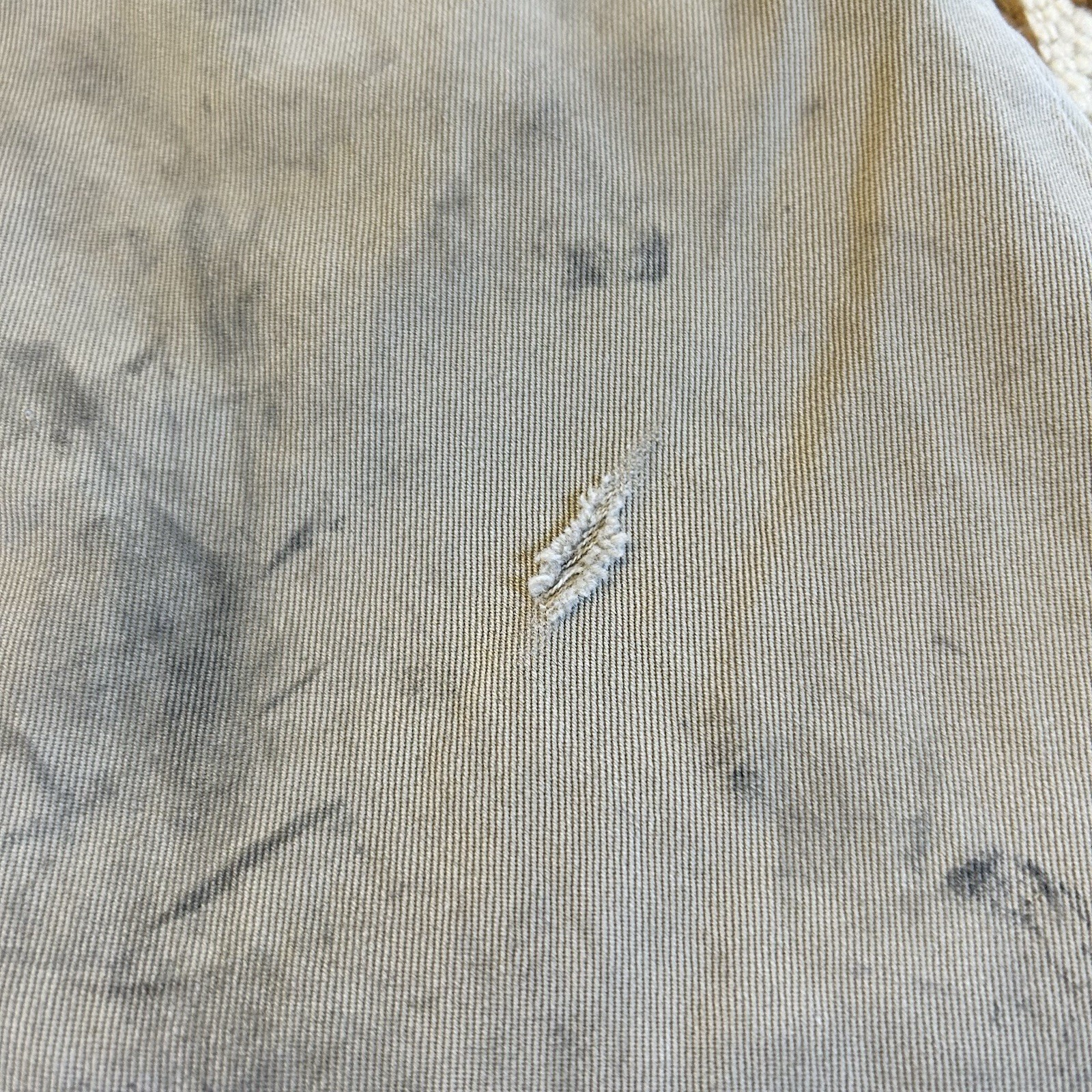Picture 5 of 14