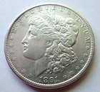 1891 MORGAN SILVER DOLLAR -  - Silvery Color, Details