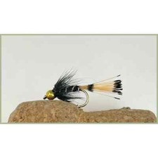 Gold Bead Nymphs Flies, 6 x Goldhead Black Pennell, Mixed 10/12, Trout Flies