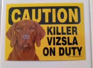 Killer Vizsla On Duty Dog Sign Magnet Hook & Loop Fastener 5x7 Black