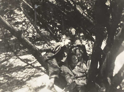 1940s Cute Adorable Little Girls & Boy Giggling Smiling up in Tree Photo P20a6