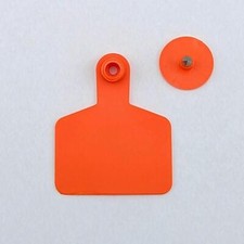 Orange Cattle Livestock TPU Ear Tags Set 75mm x 60mm Identification Label
