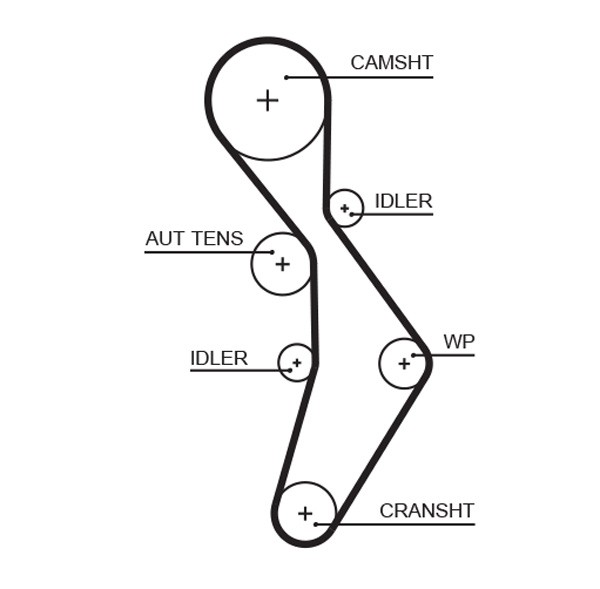 GATES-OE 5604XS Timing Belt for AUDI,SEAT,SKODA,VW