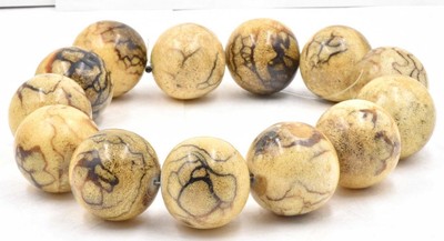 13 Matching 31mm HUGE Tiger Coral Round Beads - 344.4 Grams!!  Ready to String