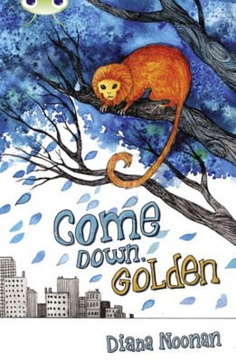 Bug Club Independent Fiction Year 3 Brown A Come Down  by Diana Noonan PAPERBACK