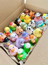 Seasonal Rubber Duckies Bundle of 24 from 2024-2025