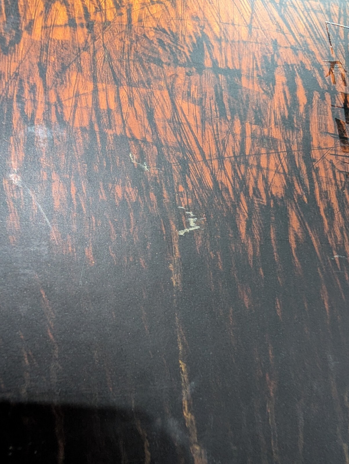 Picture 5 of 5