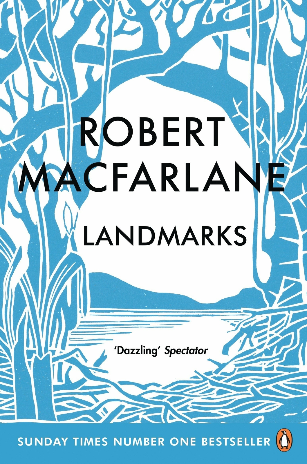 Landmarks, Macfarlane, Robert, New,