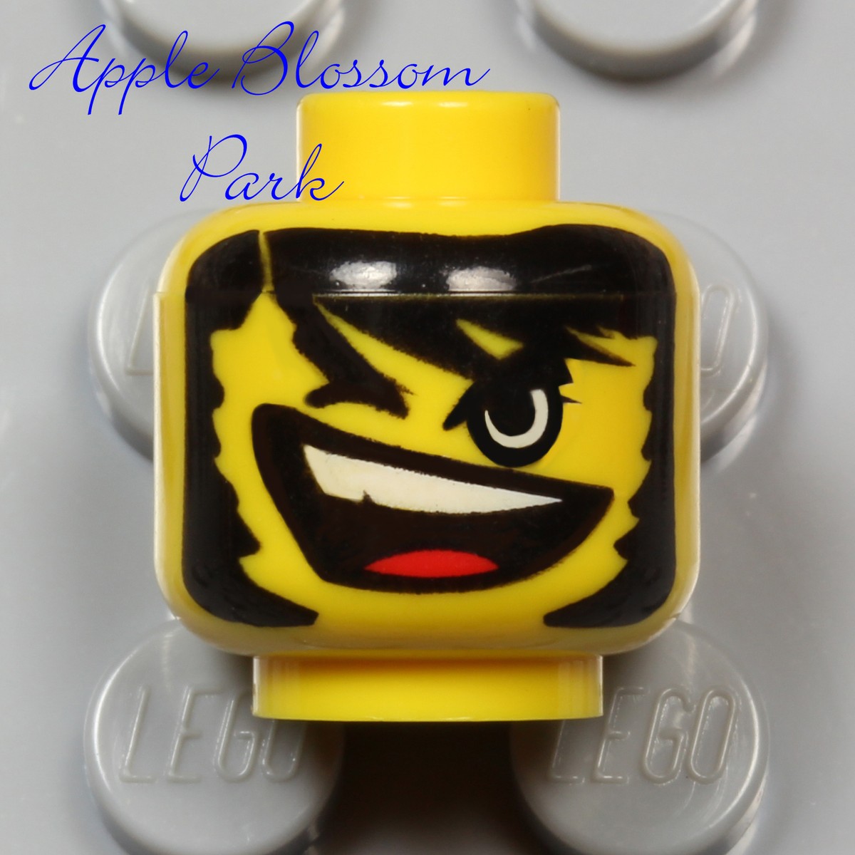 May’n PEACE of SMILE 11173 Manatee Ter, Lake Worth, FL 33449 | Zillow