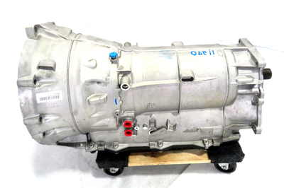 sugri コーサイ麦ガーデングログランリボン