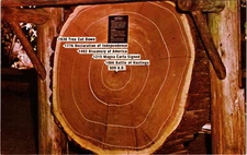 Redwoods, California (CA): Tree Rings Time Lapse - Unposted Mike Roberts