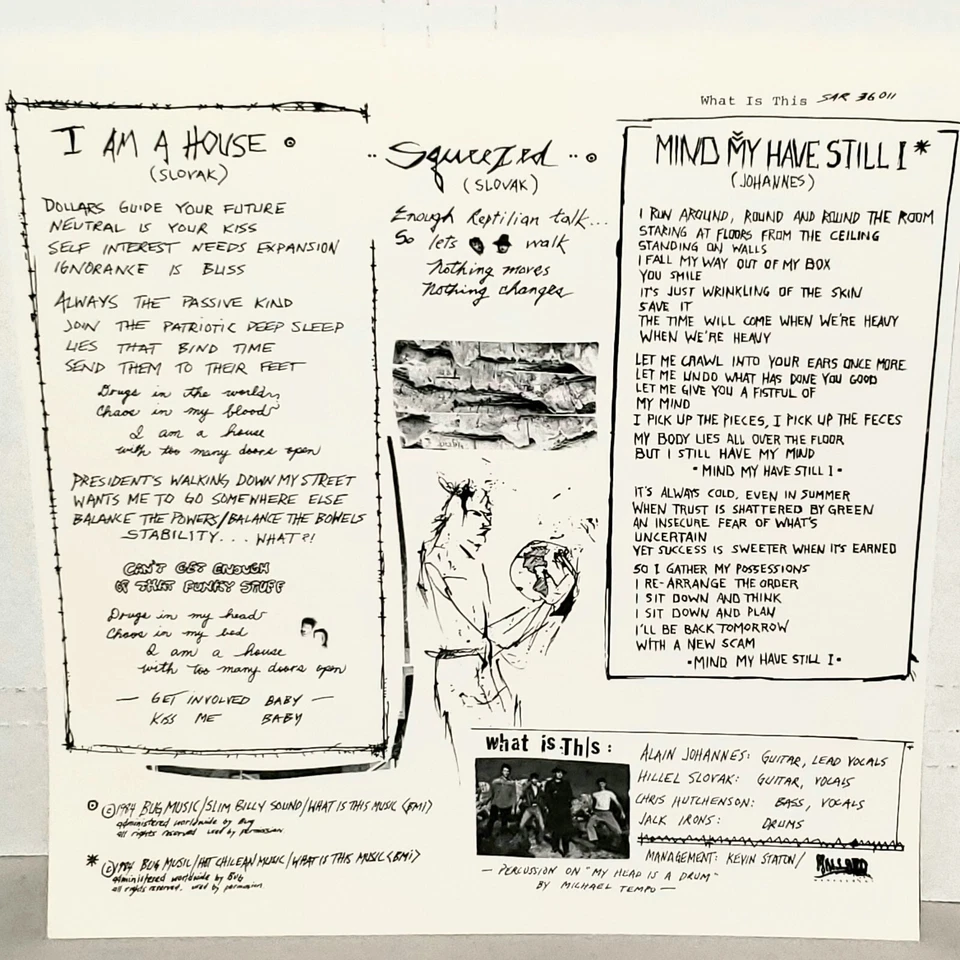 WHAT IS THIS Squeezed EP VG+ Plays Well 1984 Hillel Slovak Chili Peppers RHCP — 第 4/4 张图片