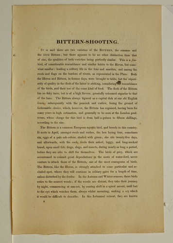 1825 HENRY ALKEN SPORTING PRINT ~ BITTERN SHOOTING - Picture 2 of 3