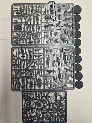 Sisters Novitiate Squad, Adepta Sororitas, 40k, GW, Sisters of Battle