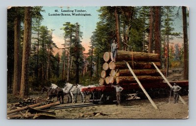 Logging Lumber Scene Horses Loading Timber Washington 1919 Postcard