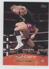 2015 Topps WWE Crowd Chants You Still Got It! Billy Gunn #9 0a7