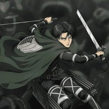 Attack on Titan Frankburger Cosplay Cape - Brand New