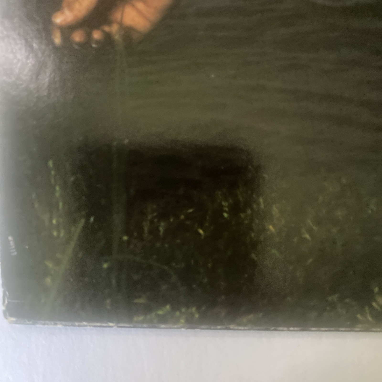 Picture 10 of 14