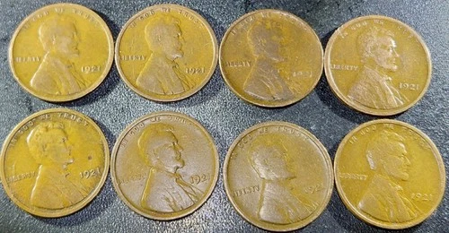 1921 P Lincoln Wheat Penny Lot  Eight Total Nice Collectable Coins