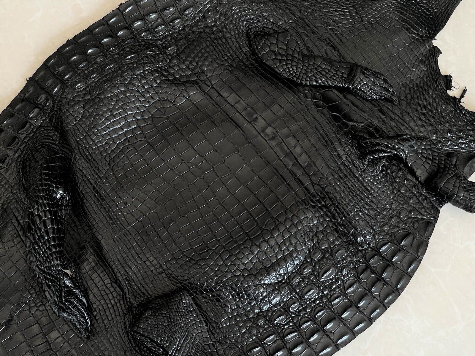 Genuine Crocodile, Alligator Skin Leather Hide Exotic Pelt Black taxidermy  Craft