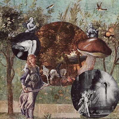 Native Harrow - Old Kind Of Magic  [VINYL]
