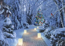 Lighting the Way - Box of 14 LPG Alan Giana Christmas Cards