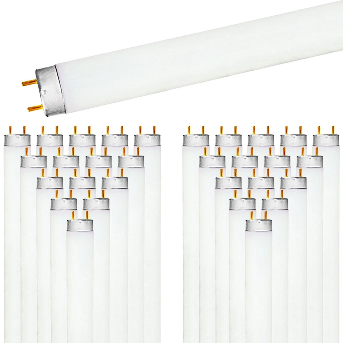 30 t8 fluorescent bulb deals