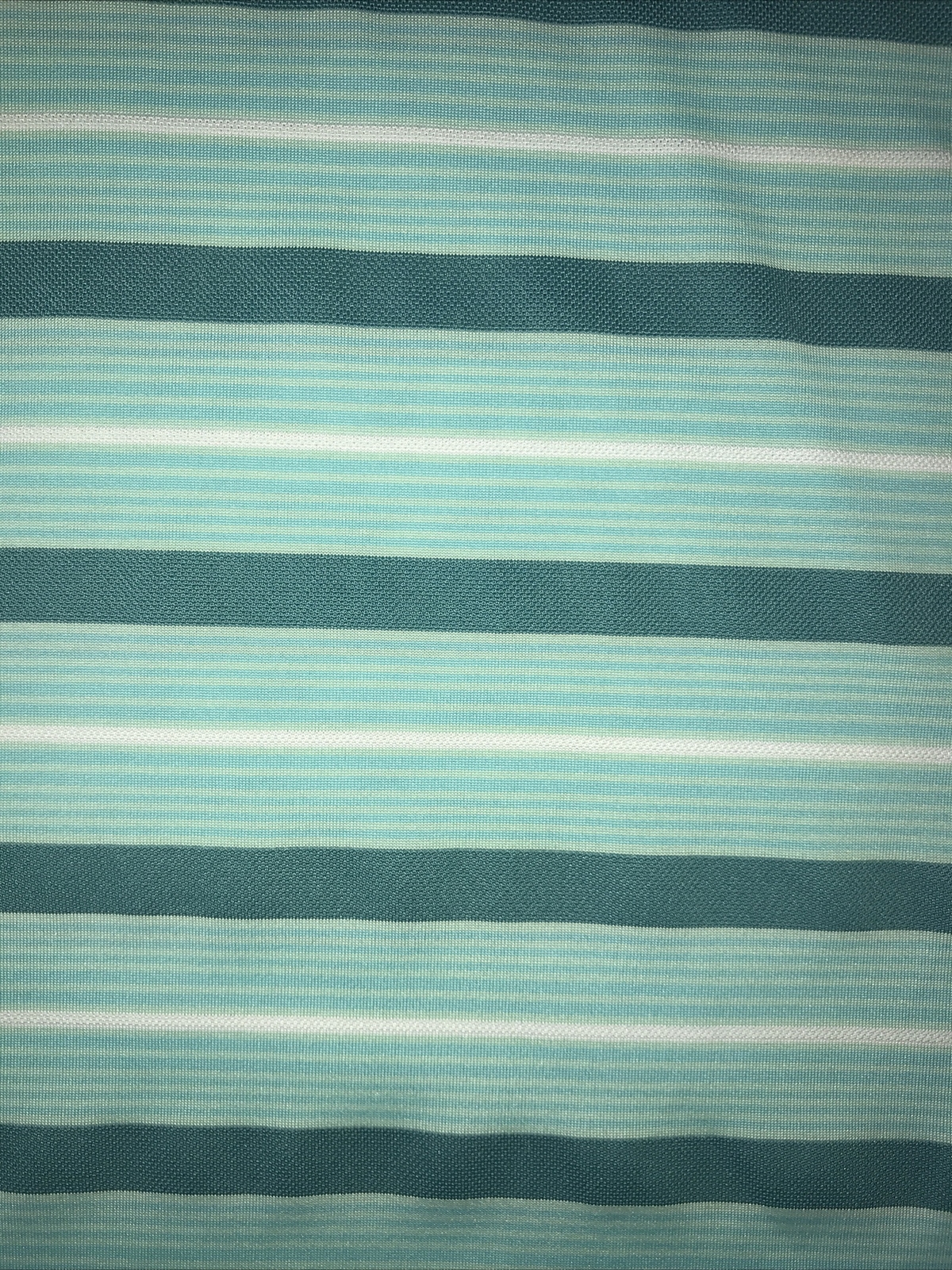 Picture 12 of 12
