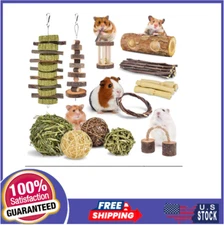 ERKOON 12 Pack Hamster Chew Toys for Gerbil Rat Guinea Pig Chinchilla Rabbits