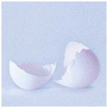 A Ghost Is Born von Wilco | CD | Zustand sehr gut
