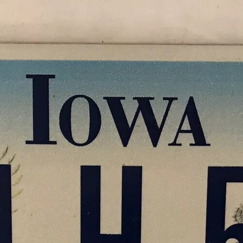 WILDLIFE RINGNECK PHEASANT license plate Nature hunt hunting Wild Animal Hunter - Picture 4 of 12