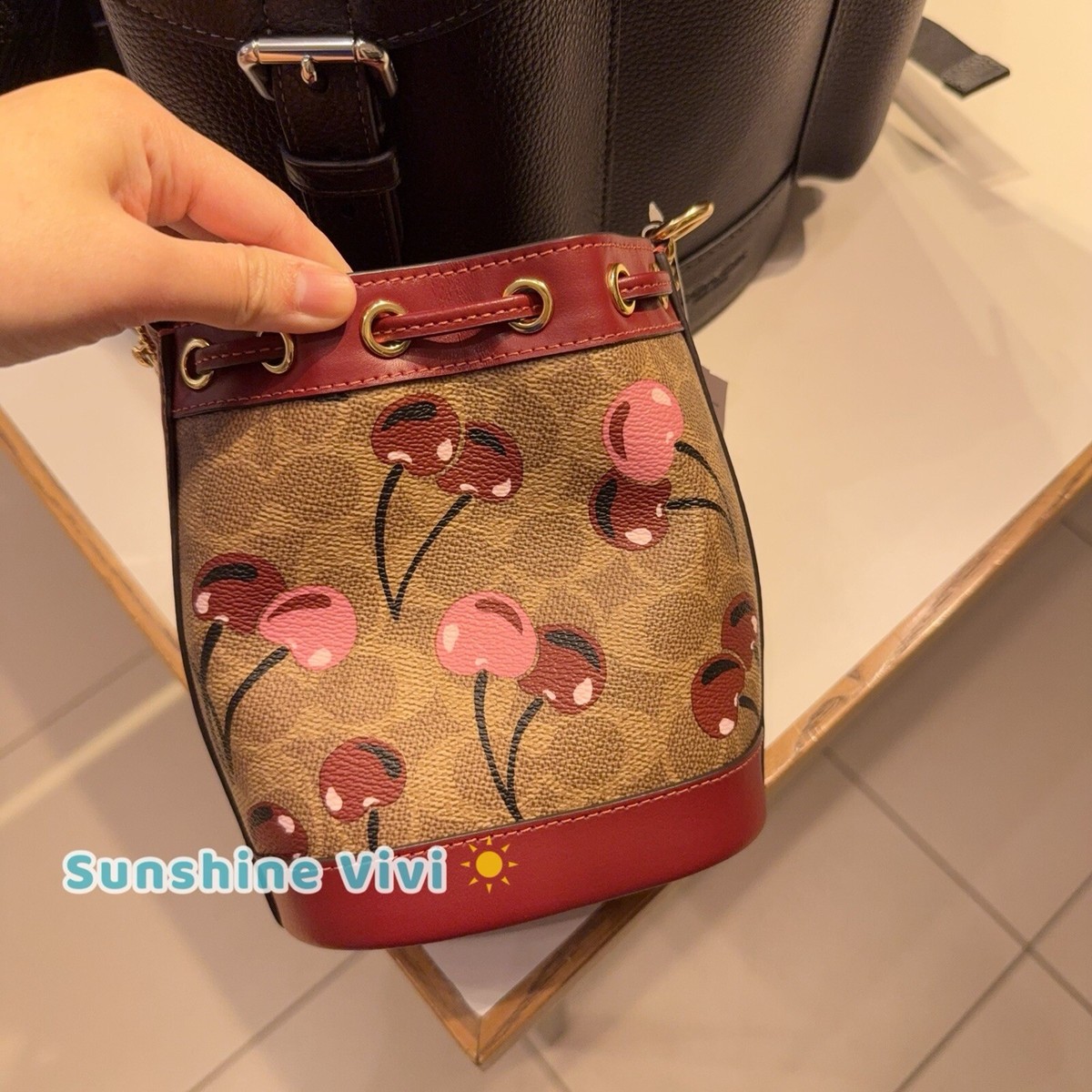 Coach Mini Bucket Bag In Signature Canvas With Cherry Print CY738