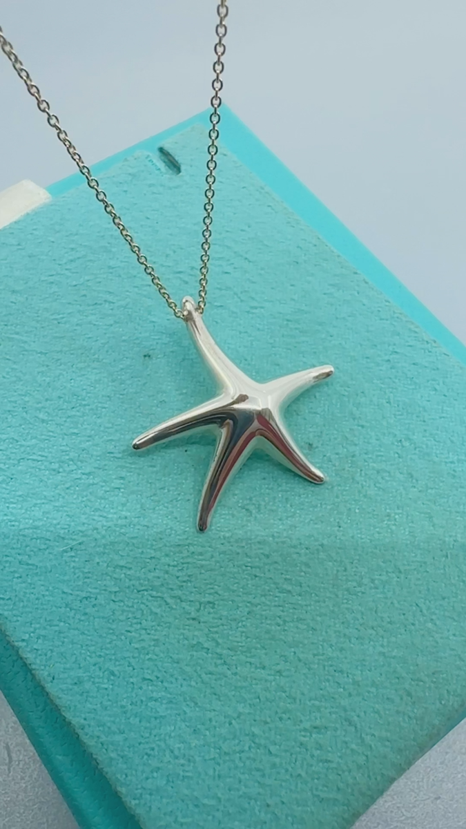 Tiffany & Co. 925 Silver Elsa Peretti Large 28mm Starfish Pendant Tiffany & Co. 925 Silver Elsa Peretti Large 28mm Starfish Pendant