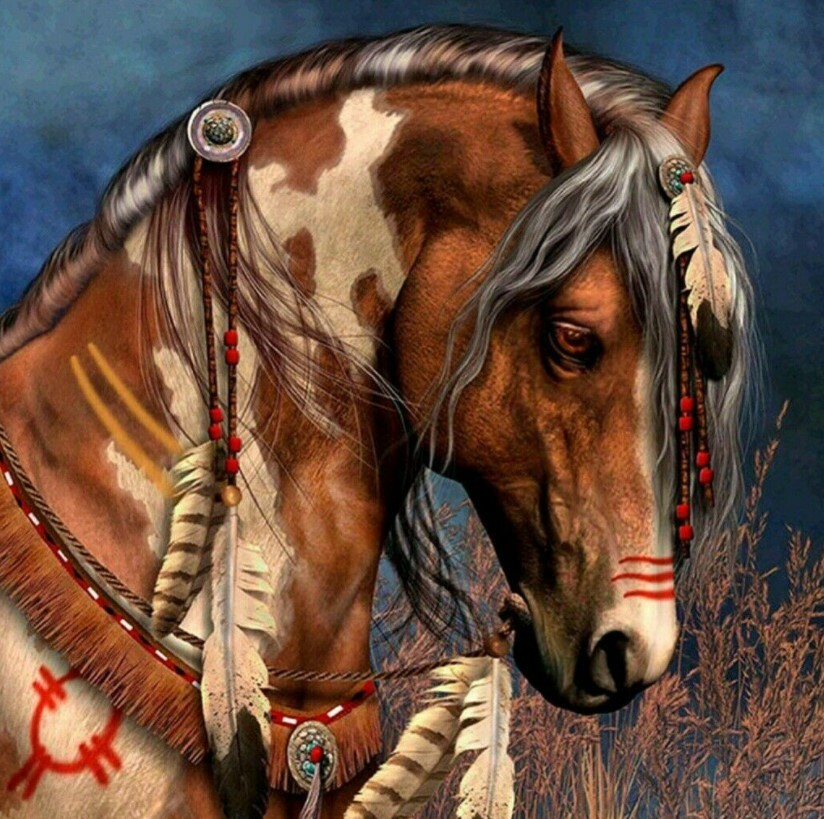 Native American Horse War Paint Symbols