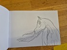 Bild 8 von 8