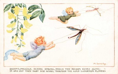 Vintage Fee Postkarte - M. Sowerby Elfen Elfen Papa Longlegs um 1910