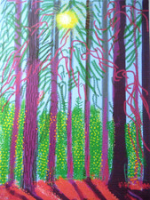 DAVID HOCKNEY LITHOGRAPHIE 50x35cm, LIMITIERT, SIGNIERT, NUMMERIERT + ZERTIFIKAT