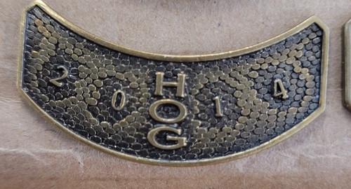 2014 HARLEY OWNERS GROUP HOG H.O.G CHAPTER MEMBER ROCKER PIN | eBay
