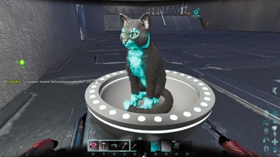 Ark Survival Ascended Pve Official tron cat clone