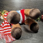 Bild 11 von 11