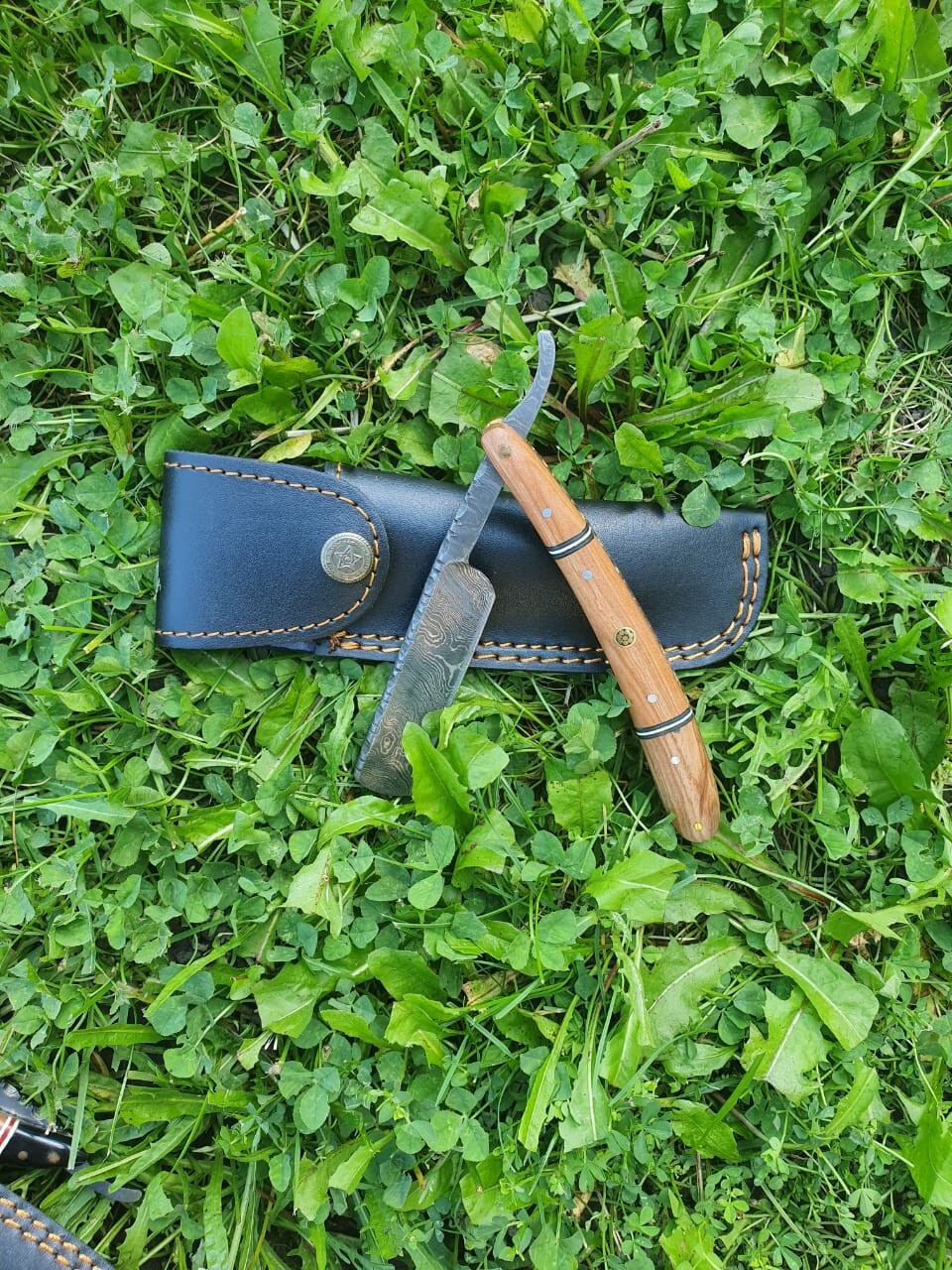 Picture 5 of 10