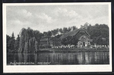 Ansichtskarte Bad Hammer am See, Hotel Seehof 