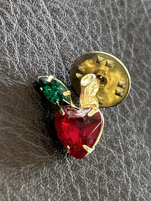 ❤️Teachers Pet Red Heart Shaped Apple Rhinestone Lapel Pin Nice Fast Shipping!👍