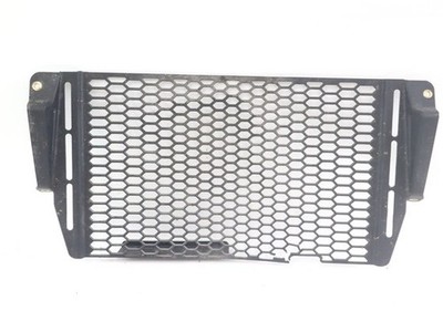 DUCATI HYPERMOTARD 698 MONO RVE 4601R193A KÜHLERGRILL 24 - 26 RADIATOR GRI