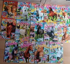 14 WENDY HEFTE MÄDCHEN PFERDE 2001 BIS 2018 OHNE SPIELZEUG