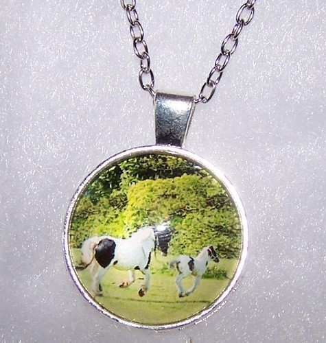 Pendant Ranch Sign Silver 20