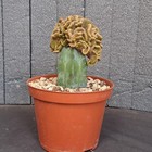 Foto 5 di 24