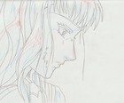 The Twelve Kingdoms Juuni Kokki Genga Douga Original Sketches Pierrot - Youko — photo 4