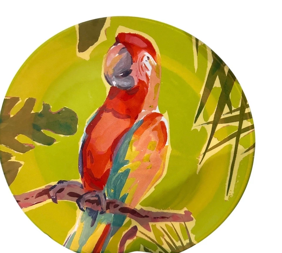 Juego de 8 Platos de Guacamayo Loro Colorido Melamina Cuatro Naranja Verde Marca Hogar Foto 3 de 4