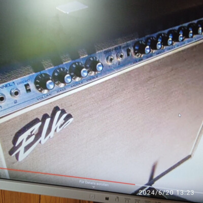 Elk FS 100 Amp